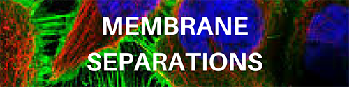 Membrane seperations 